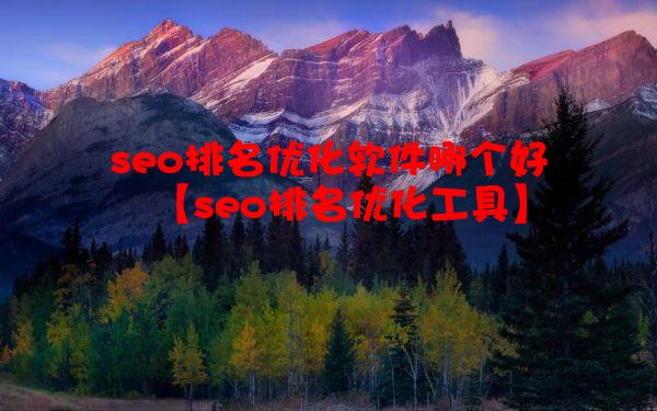 seo排名优化软件哪个好【seo排名优化工具】