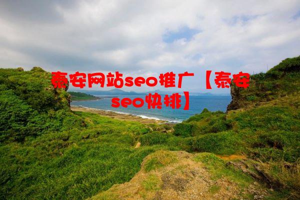 泰安网站seo推广【泰安seo快排】