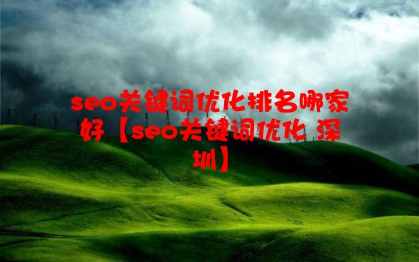 seo关键词优化排名哪家好【seo关键词优化 深圳】