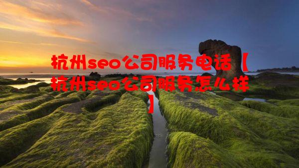 杭州seo公司服务电话【杭州seo公司服务怎么样】