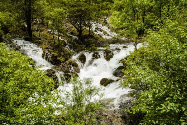 中山百度广告公司招聘（中山百度公司电话）