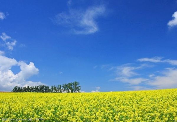 中山百度公司电话（中山网站seo）